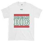 White Red and Green Short-Sleeve T-Shirt