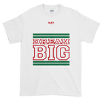 White Green and Red Short-Sleeve T-Shirt